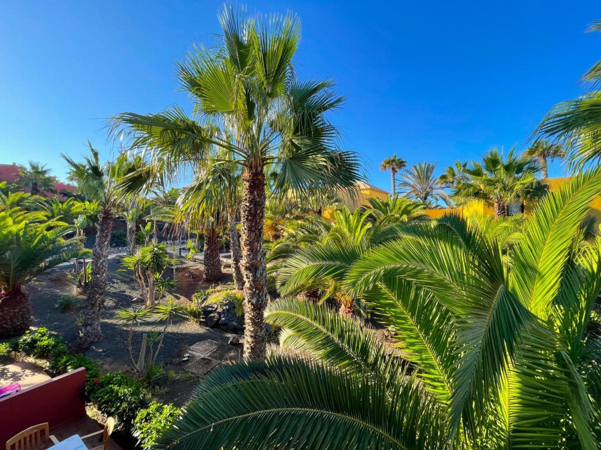 Adamsurfcom Apartment Corralejo Bagian luar foto