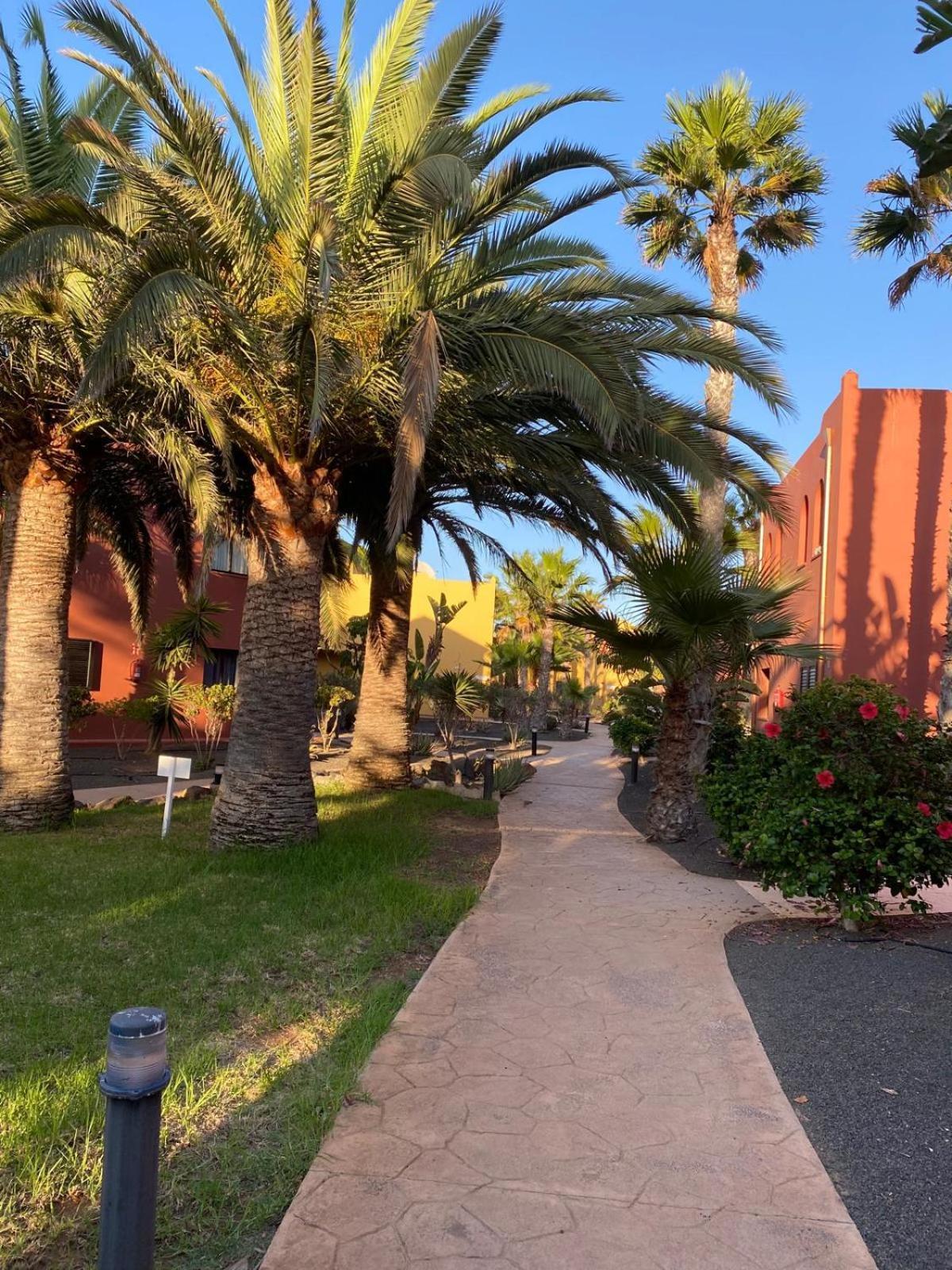 Adamsurfcom Apartment Corralejo Bagian luar foto